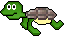 cutie turtle